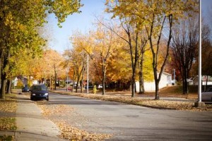 Une rue tranquille de banlieue de Sorel est bordée d'arbres d'automne, dont les feuilles jonchent le trottoir et la chaussée. Une voiture bleue, cherchant peut-être à se procurer un véhicule moins cher, est garée le long du trottoir, avec des maisons visibles sous un ciel dégagé.