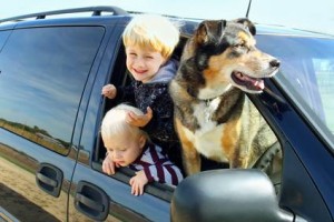 Deux jeunes enfants et un gros chien se penchent par la fenêtre ouverte d'un SUV noir par une journée ensoleillée à Sainte-Foy. Les enfants sourient et affichent leur curiosité, tandis que le chien regarde droit devant lui, la gueule ouverte, savourant la balade – une image à protéger avec assurance auto.